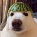 SauceDeBlanc Com™ Discord Server Logo