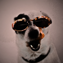 Tolks ๋࣭ ⭑ Discord Server Logo