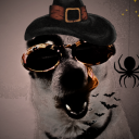 Tolks ๋࣭ ⭑ 🦇🎃 Discord Server Logo