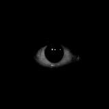 πΉππ₯π₯ππ ππ£πππ Discord Server Logo