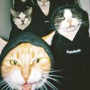 the better swagger Discord Server Logo