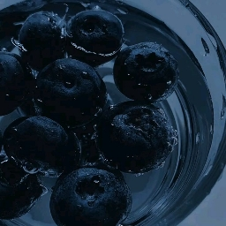 Blue Berries π« Discord Server Logo