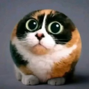 ᴢɪᴘʜɪ ᴄʜᴀɴɴᴇʟ😼 Discord Server Logo