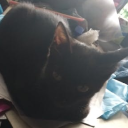 kenneth bruh's server Discord Server Logo