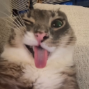 furritos kawai Discord Server Logo