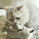 /lysm Discord Server Logo