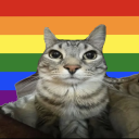 Cuspous Not Nation (happy pride month) Discord Server Logo