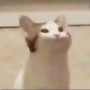 /𝒀𝒂𝒑𝒑 Discord Server Logo