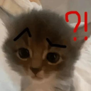 Project Cat Discord Server Logo
