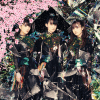 BABYMETAL Discord Server Logo