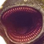 Final Fantasy TCG (FFTCG) Discord Server Logo