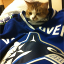 Vancouver Canucks Discord Server Logo