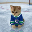 Vancouver Canucks Discord Server Logo