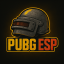 PUBG ESP Discord Server Logo