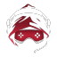 Next Level Gaming Discord Server Logo
