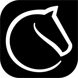 lichess.org Discord Server Logo