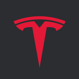 Tesla Discord Server Logo