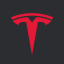 Tesla Discord Server Logo