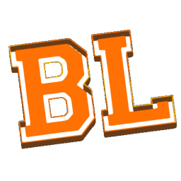 Boxing League Discord Server Logo