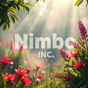 Nimbo.inc Discord Server Logo