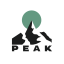 Peak Discord Server Logo