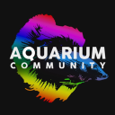 Aquarium Community Discord Server Logo