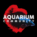 Aquarium Community Discord Server Logo
