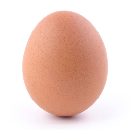 EGG Discord Server Logo
