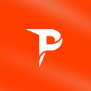 Paladium Discord Server Logo