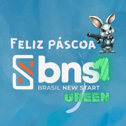 Brasil New/Play Start Community Discord Server Logo