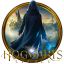 Harry Potter Discord Server Logo