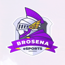 BroSena eSports Discord Server Logo
