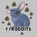 Rabbitors Discord Server Logo