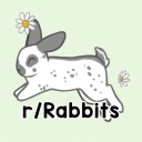 Rabbitors Discord Server Logo
