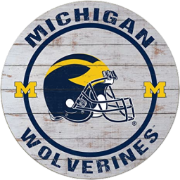 Michigan Wolverines Discord Server Logo