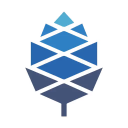 PINE64 Discord Server Logo