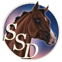 Star Stable Dressage Discord Server Logo