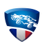 Rocket League France Discord Server Logo