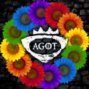 CK AGOT Discord Server Logo