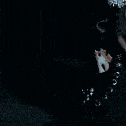βΈΈ πππΆπ Discord Server Logo
