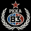 Сообщество "РККА" Discord Server Logo