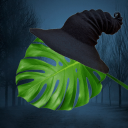 Houseplants! Discord Server Logo