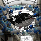 Dandte Discord Server Logo