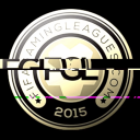 FifaGamingLeagues Discord Server Logo