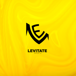Levitate Esports ™ Discord Server Logo