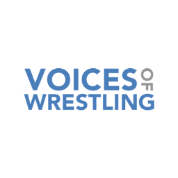 Voices of Wrestling Discord Server Logo
