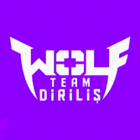 Wolfteam Turkiye Discord Server Logo