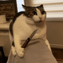 cats Discord Server Logo