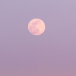 Moonlight Lounge Discord Server Logo
