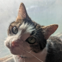 Meowplace (2026 edition) Discord Server Logo